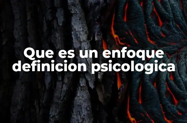 Que es un Enfoque Definicion Psicologica 2 Diferentes maneras de entender la psique humana