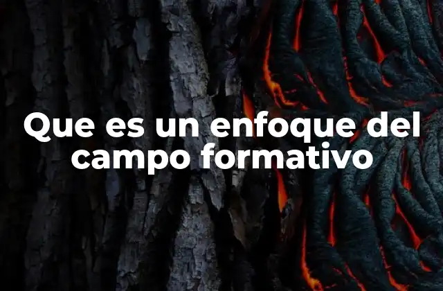 Que es un Enfoque Del Campo Formativo