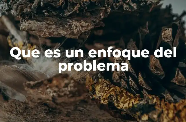 Que es un Enfoque Del Problema