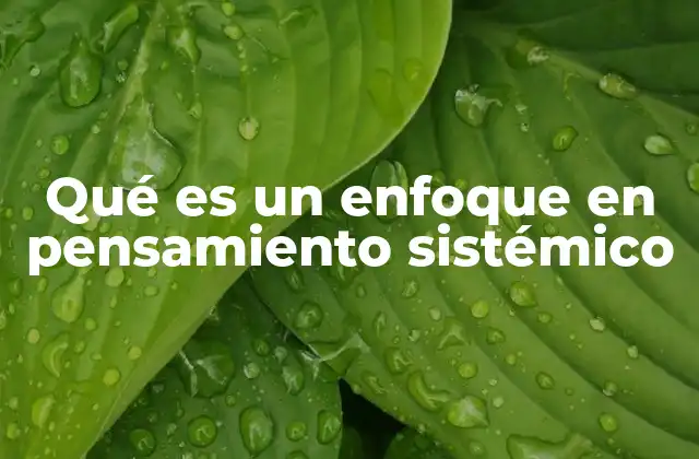 Qué es un Enfoque en Pensamiento Sistémico
