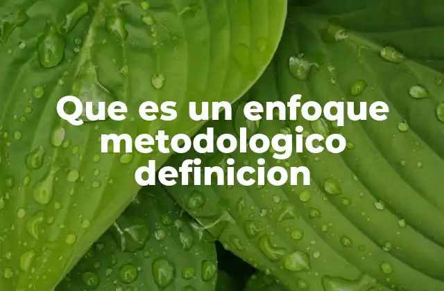 La importancia del enfoque metodológico en la investigación