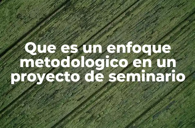 Que es un Enfoque Metodologico en un Proyecto de Seminario