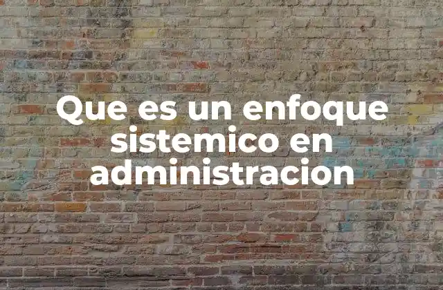 Que es un Enfoque Sistemico en Administracion