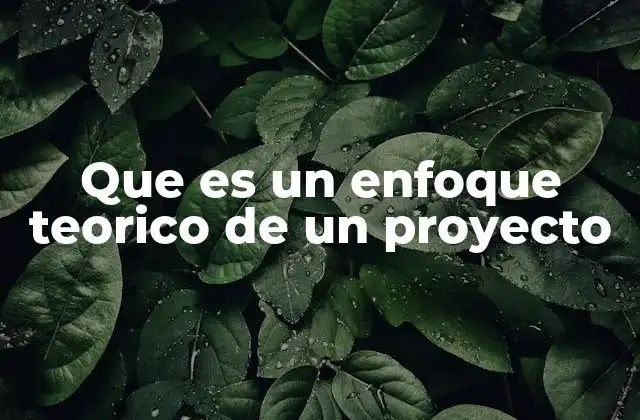 Que es un Enfoque Teorico de un Proyecto