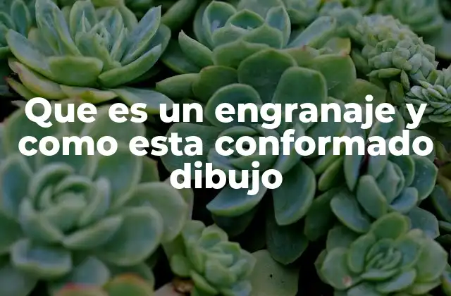 Que es un Engranaje y como Esta Conformado Dibujo 2 Componentes esenciales en la construcción de un engranaje