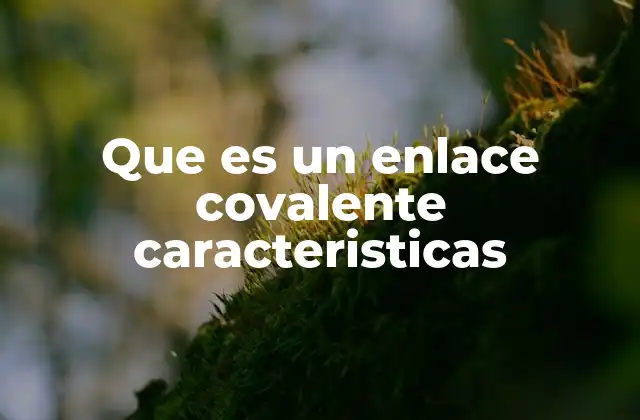 Que es un Enlace Covalente Caracteristicas