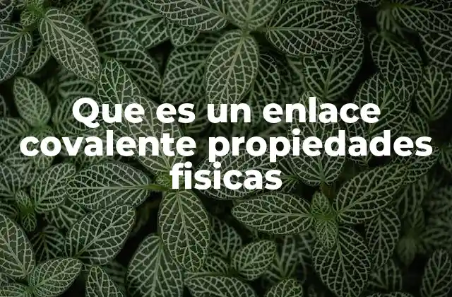 Que es un Enlace Covalente Propiedades Fisicas