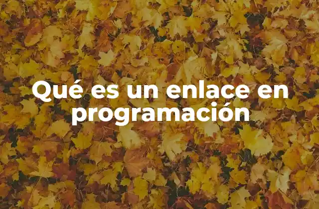 Qué es un Enlace en Programación