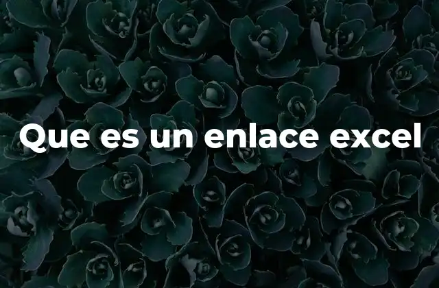Que es un Enlace Excel