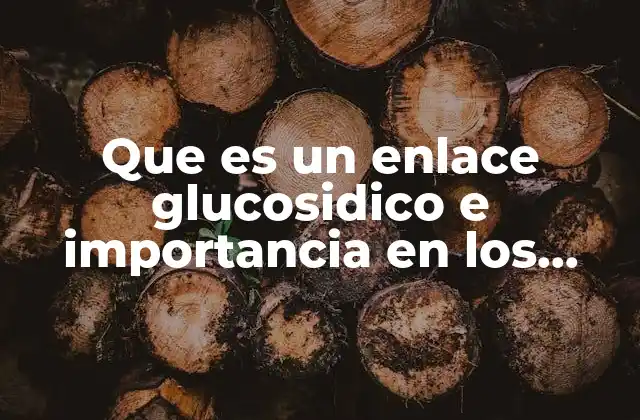 Que es un Enlace Glucosidico e Importancia en los Azucares