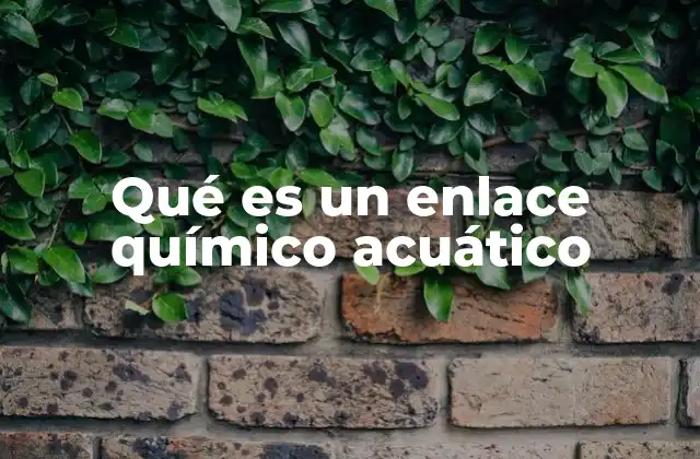Qué es un Enlace Químico Acuático