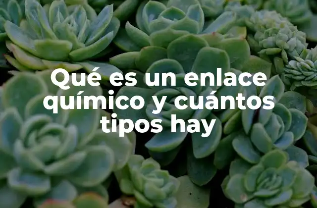 Qué es un Enlace Químico y Cuántos Tipos Hay