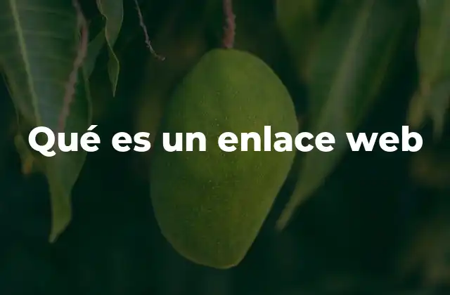 Qué es un Enlace Web