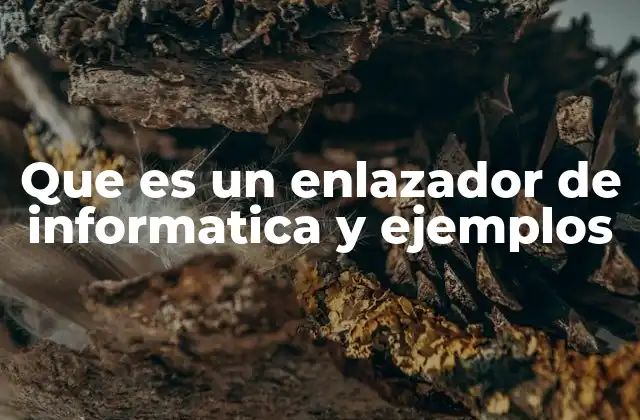 Que es un Enlazador de Informatica y Ejemplos