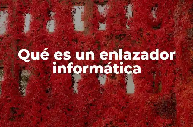 Qué es un Enlazador Informática