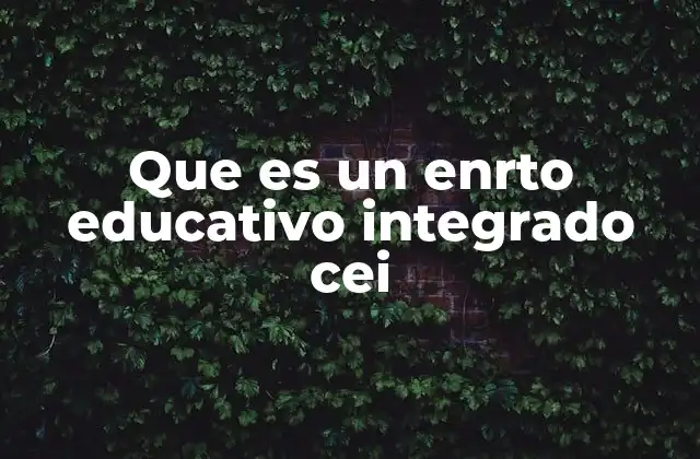 Que es un Enrto Educativo Integrado Cei