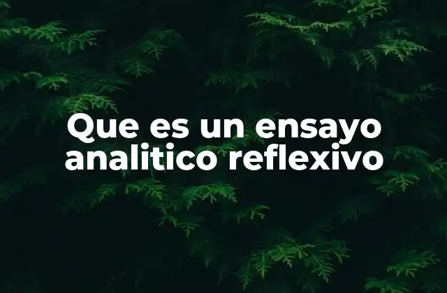 Que es un Ensayo Analitico Reflexivo