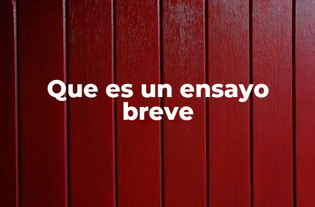 Que es un Ensayo Breve