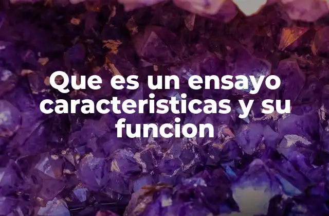 Que es un Ensayo Caracteristicas y Su Funcion