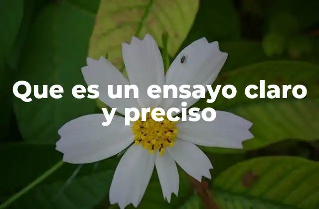 Que es un Ensayo Claro y Preciso