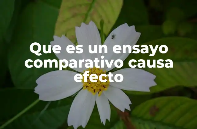 Que es un Ensayo Comparativo Causa Efecto