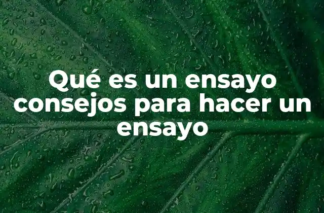 Qué es un Ensayo Consejos para Hacer un Ensayo