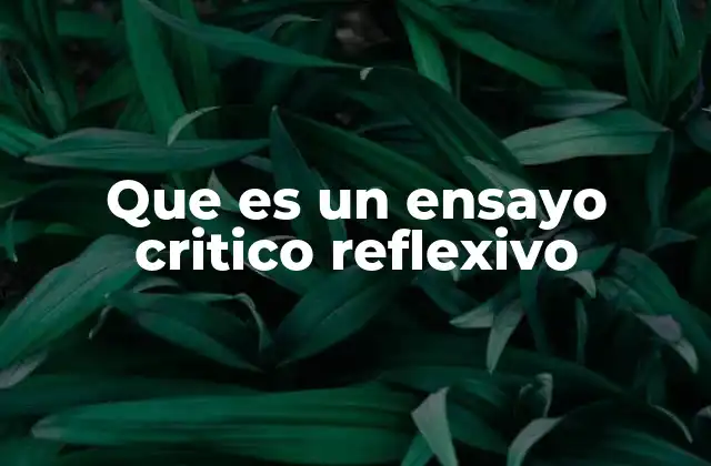 Que es un Ensayo Critico Reflexivo