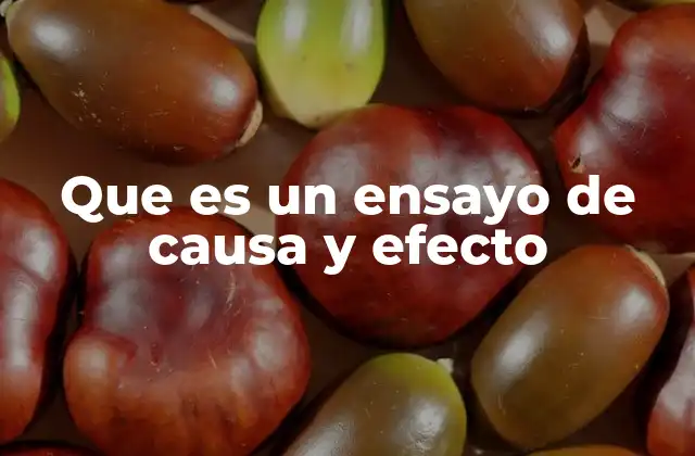Que es un Ensayo de Causa y Efecto