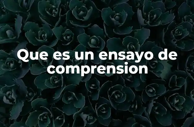 Que es un Ensayo de Comprension