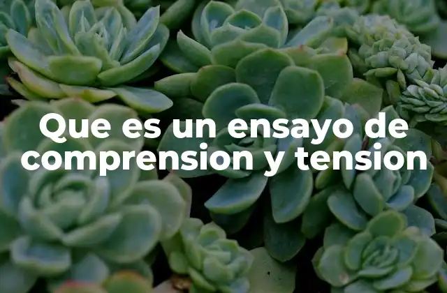 Que es un Ensayo de Comprension y Tension