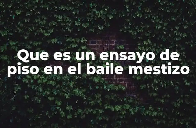 Que es un Ensayo de Piso en el Baile Mestizo