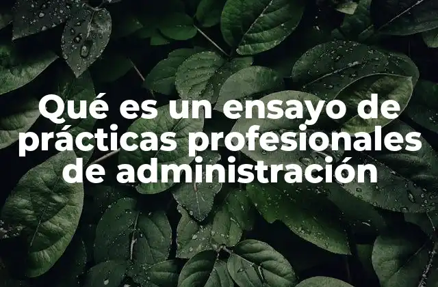 Qué es un Ensayo de Prácticas Profesionales de Administración 2 Reflexión sobre la importancia de documentar las prácticas profesionales