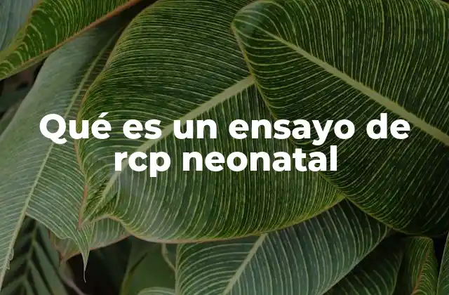 Qué es un Ensayo de Rcp Neonatal