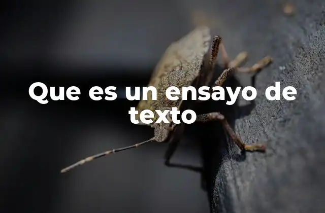 Que es un Ensayo de Texto