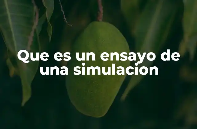 Que es un Ensayo de una Simulacion