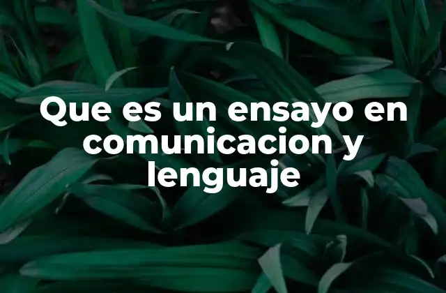 Que es un Ensayo en Comunicacion y Lenguaje