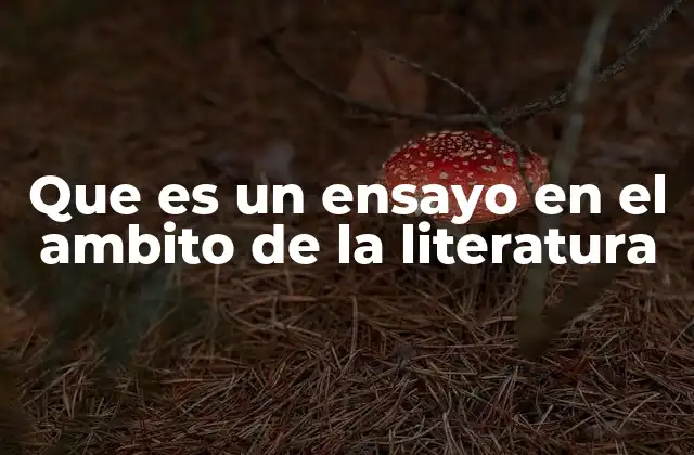 Que es un Ensayo en el Ambito de la Literatura
