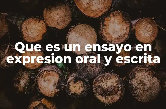 Que es un Ensayo en Expresion Oral y Escrita