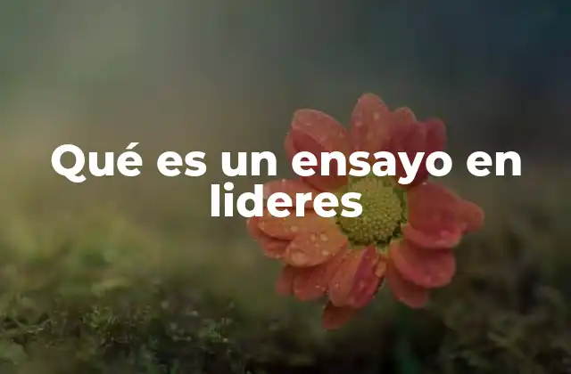 Qué es un Ensayo en Lideres