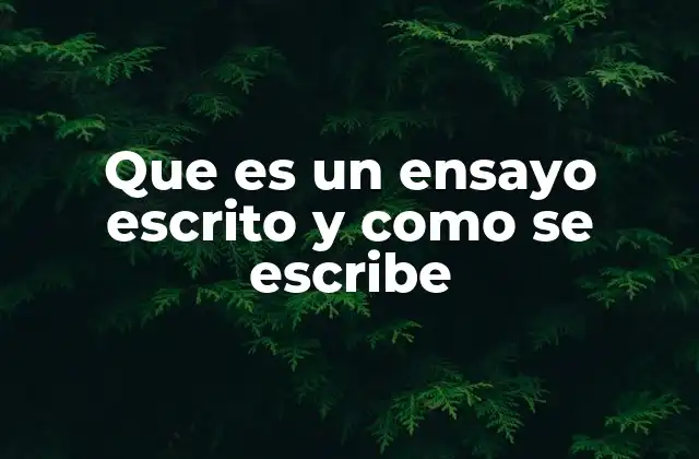 Que es un Ensayo Escrito y como Se Escribe
