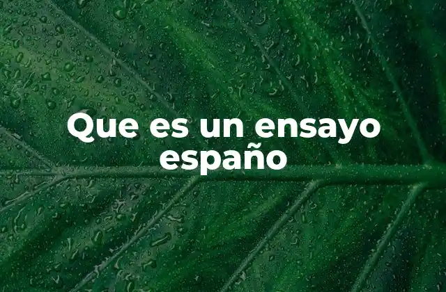 Que es un Ensayo Españo