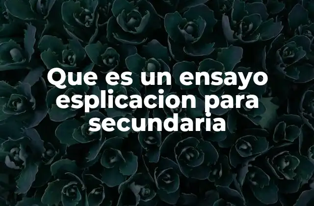 Que es un Ensayo Esplicacion para Secundaria
