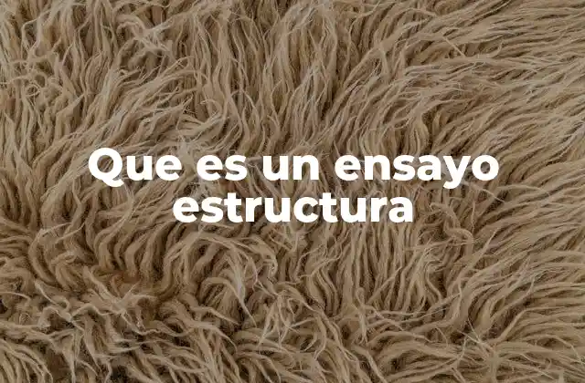 Que es un Ensayo Estructura