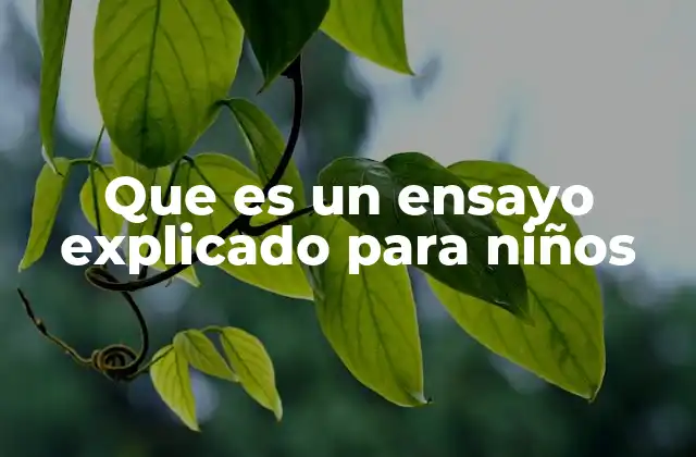 Que es un Ensayo Explicado para Niños