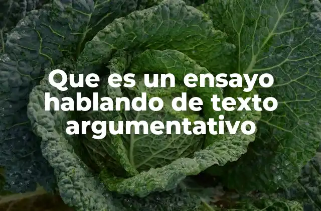 Que es un Ensayo Hablando de Texto Argumentativo