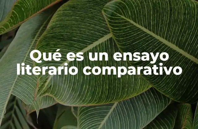 Qué es un Ensayo Literario Comparativo