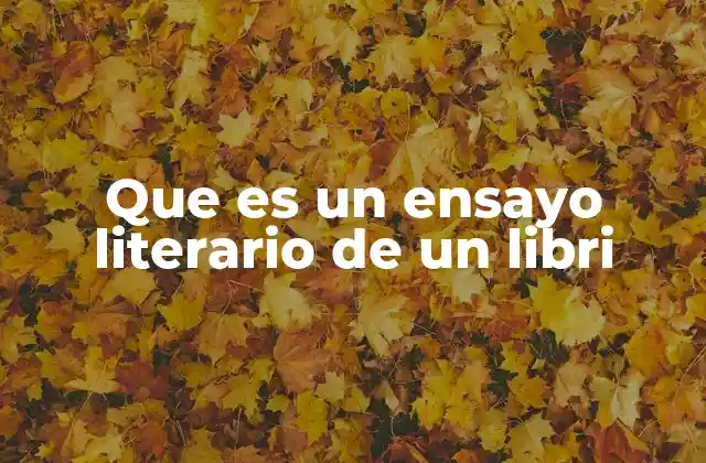 Que es un Ensayo Literario de un Libri