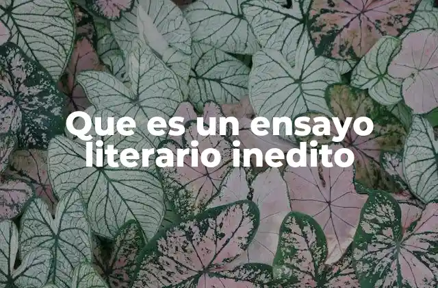 Que es un Ensayo Literario Inedito