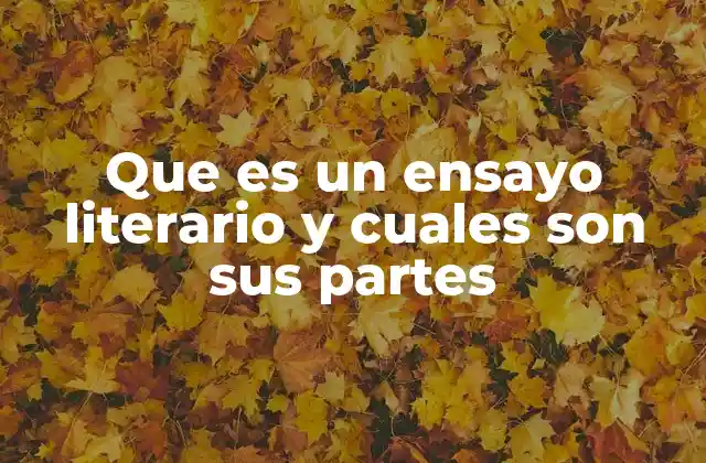 Que es un Ensayo Literario y Cuales Son Sus Partes