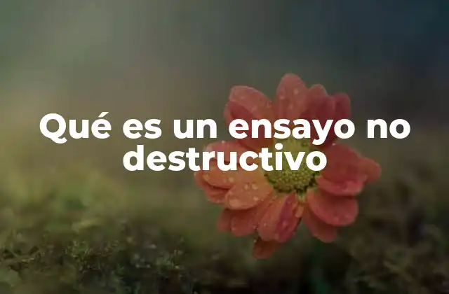 Qué es un Ensayo No Destructivo 2 Métodos y técnicas de evaluación sin dañar el material